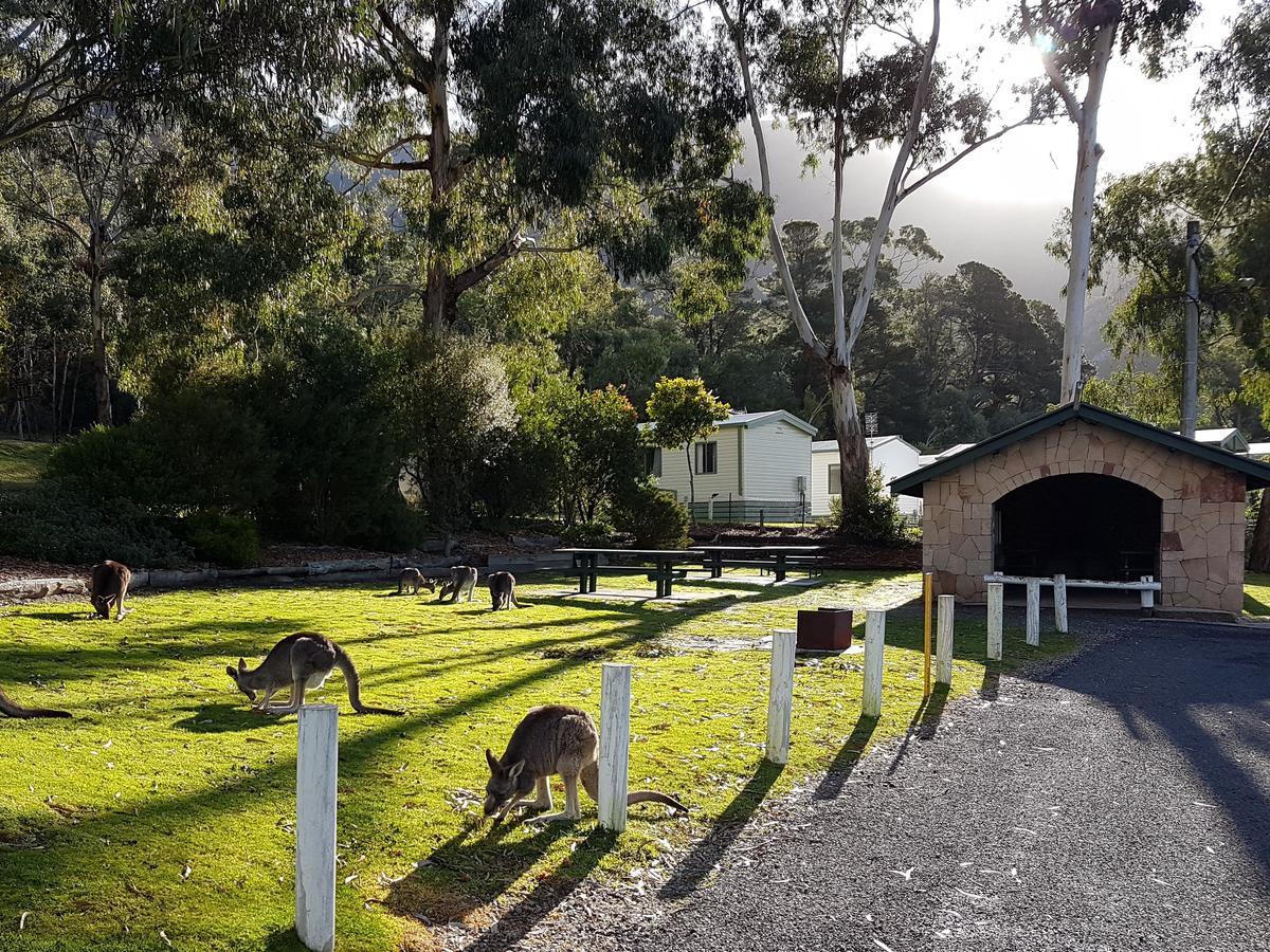 Breeze Holiday Parks - Halls Gap Luaran gambar